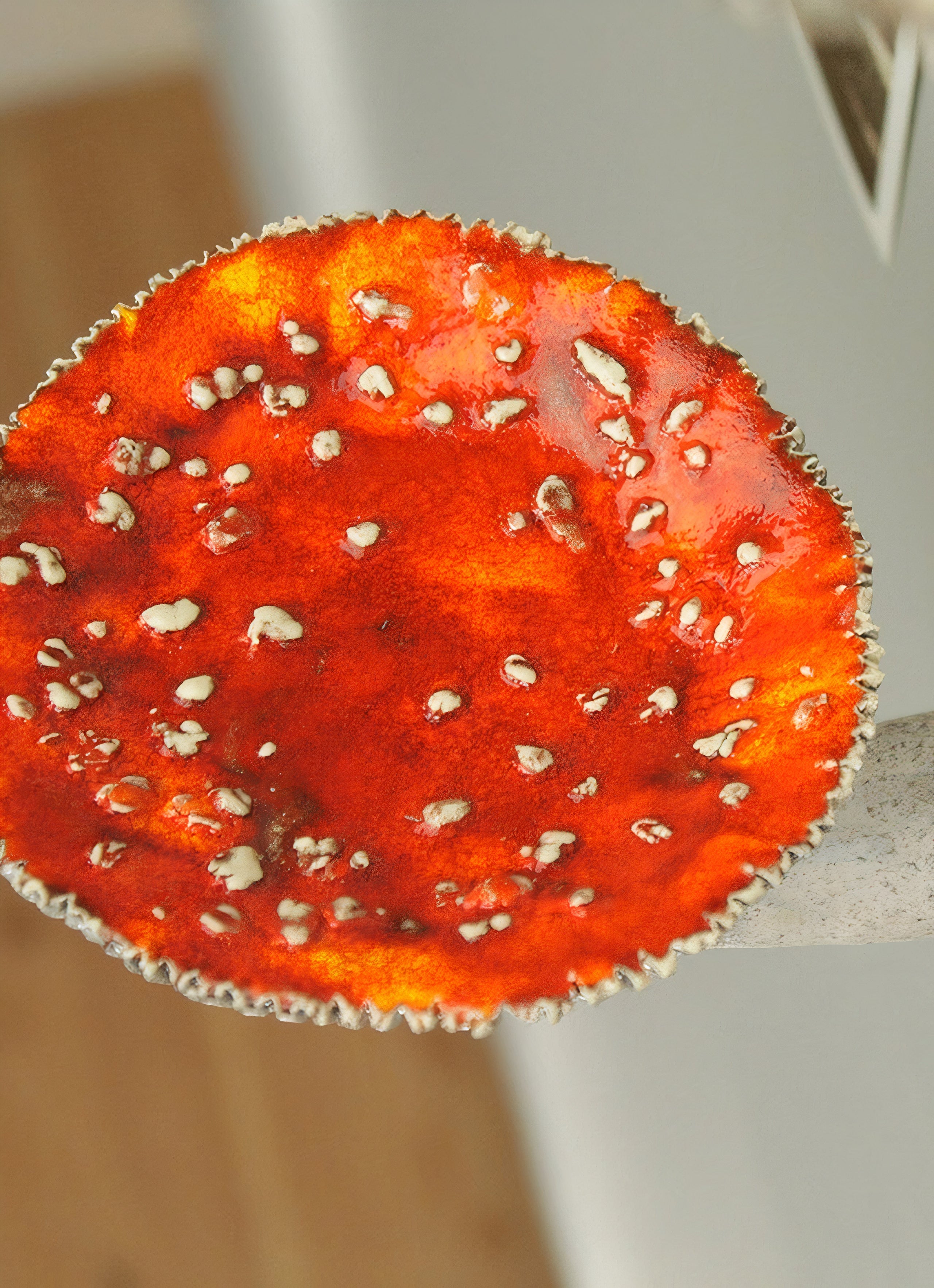 Floating Amanita Mushroom