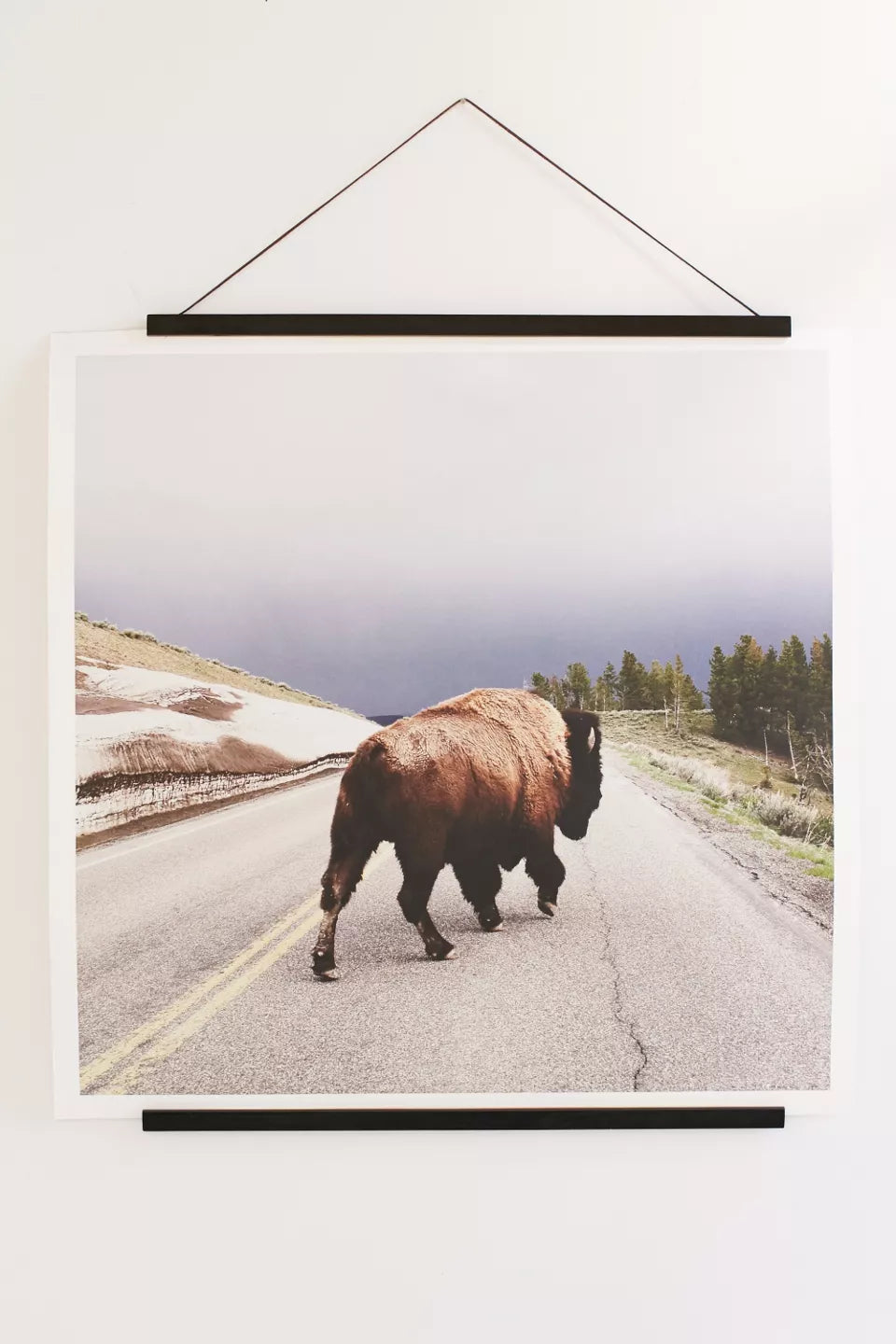 Magnetic Frame