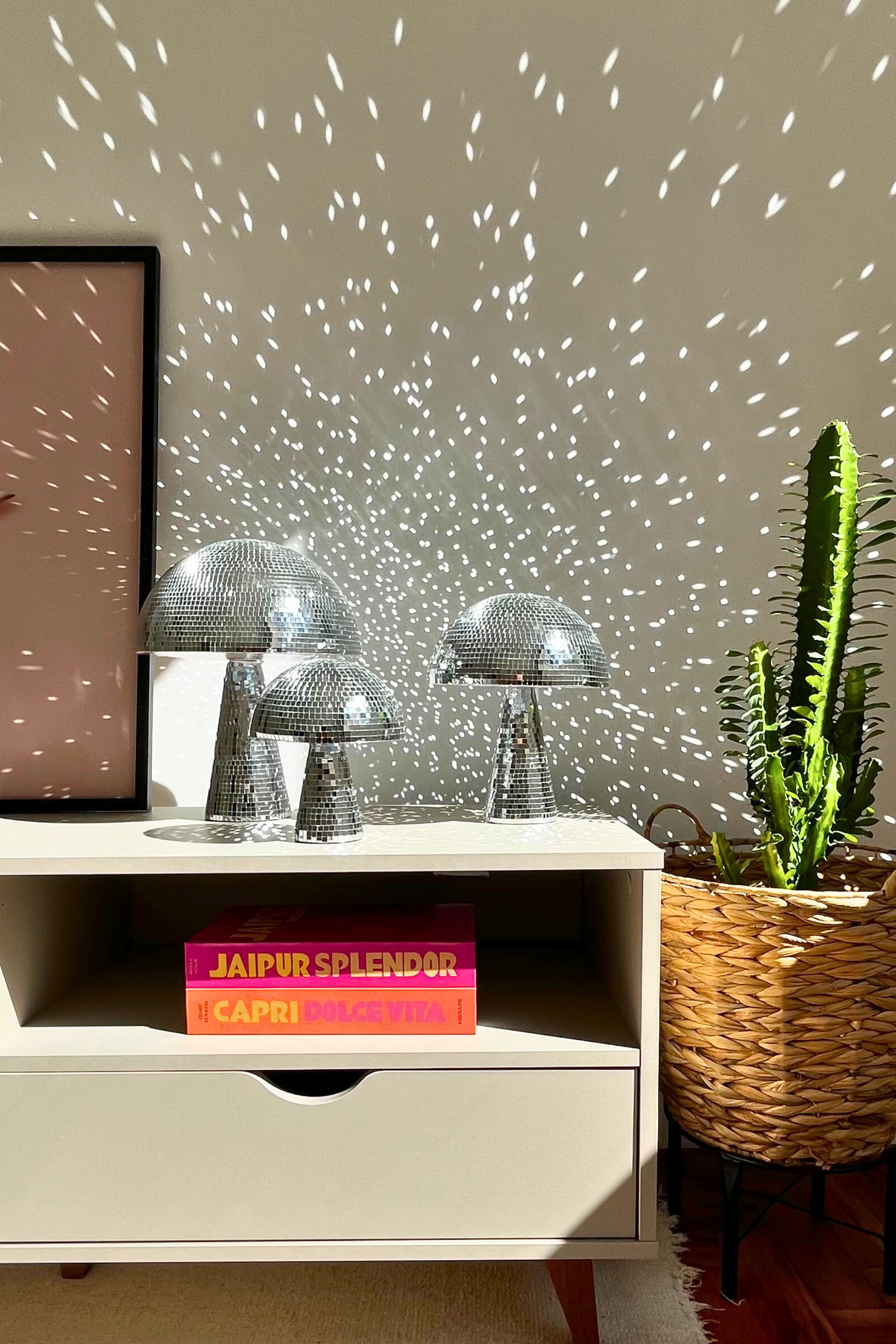 Disco Mushroom Decor