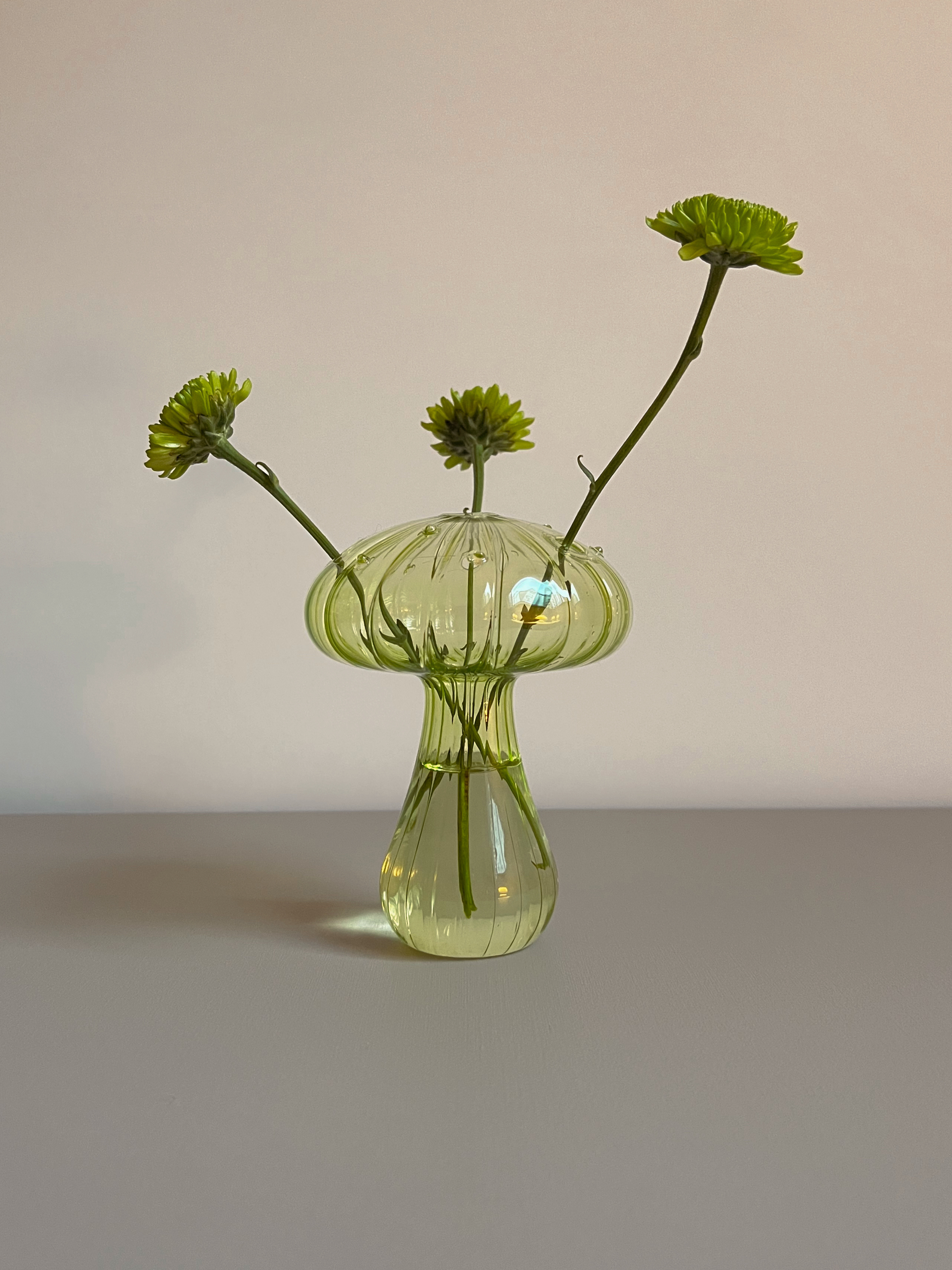 Colorful Mushroom Glass Vase