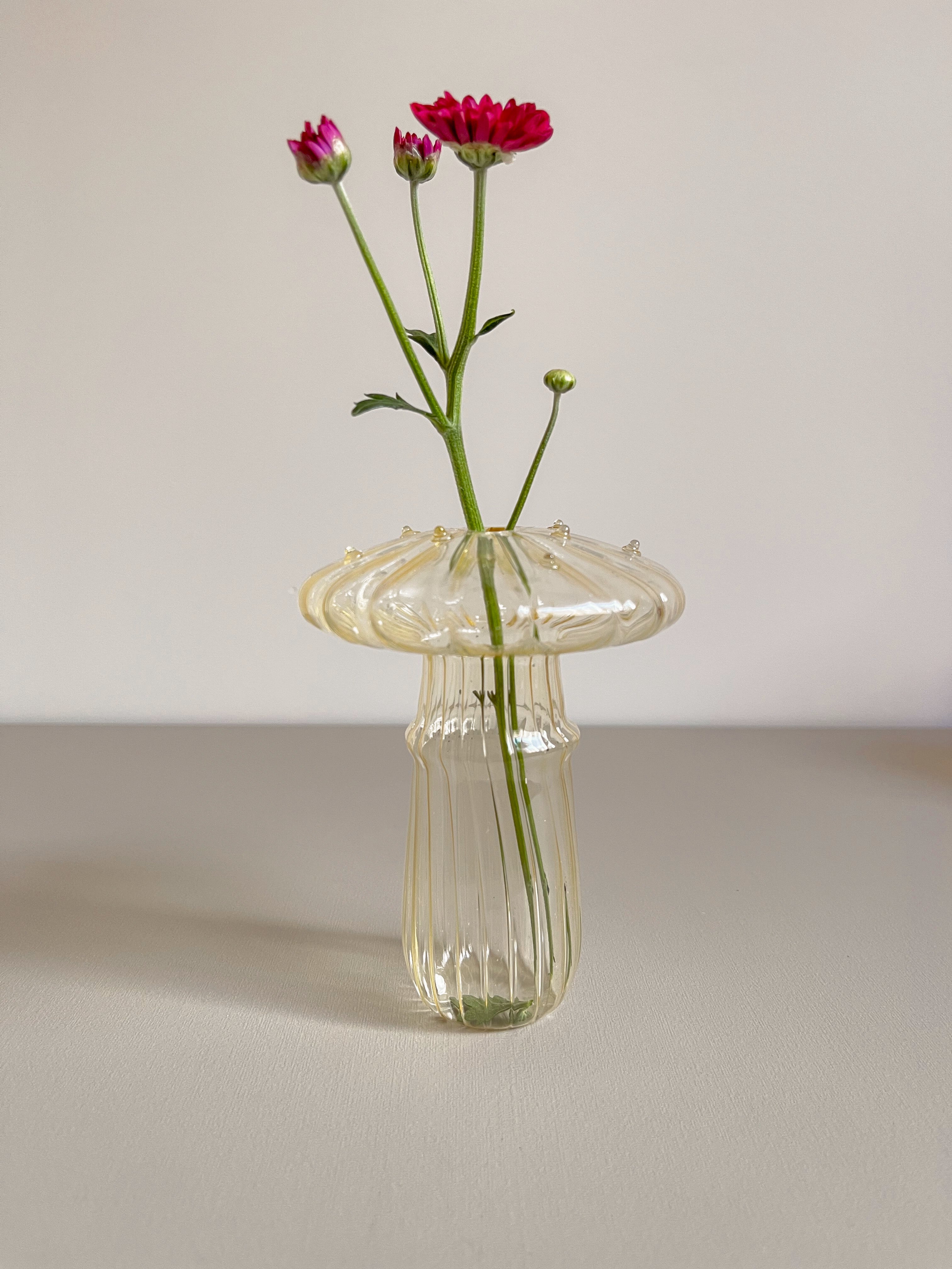 Colorful Mushroom Glass Vase